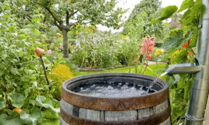 Деревянная бочка в саду