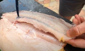 Разделанная рыба