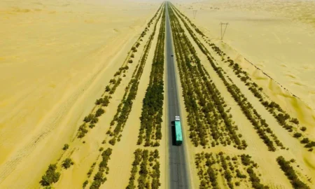 Великая зелёная стена