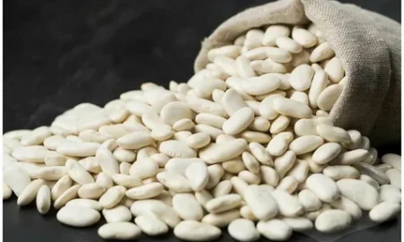 белая фасоль