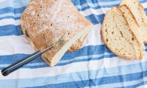 Плесень на хлебе