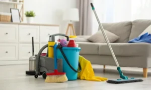 Предметы для уборки дома
