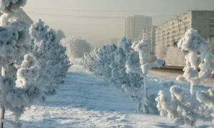 Морозная погода