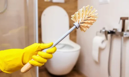 Ёршик для чистки унитаза