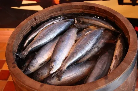 Селёдка в бочке