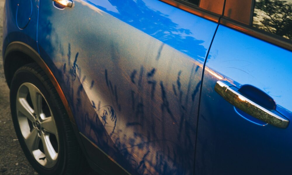 Машина пыльная