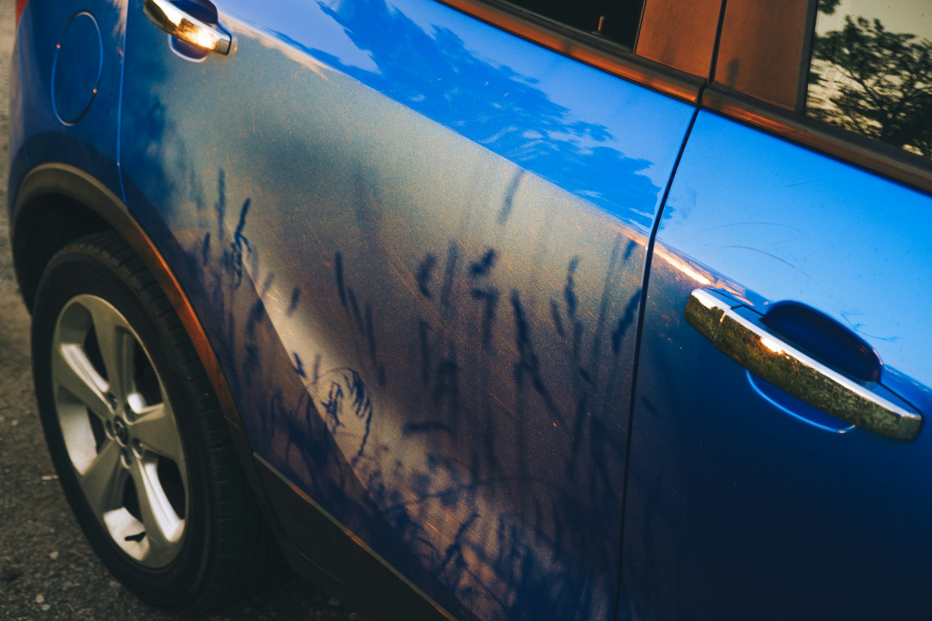 Машина пыльная