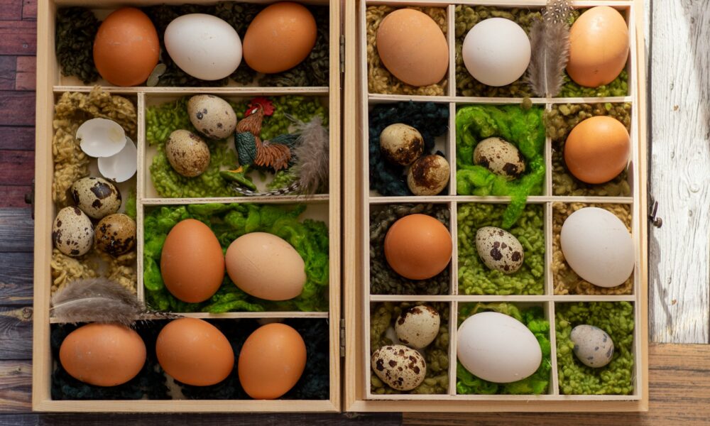 Коробка с куриными и перепелиными яйцами
