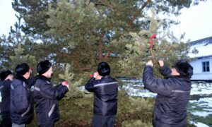 заключенные привязывают ленточки