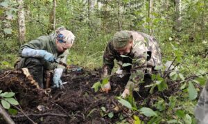 alt поисковики капают землю