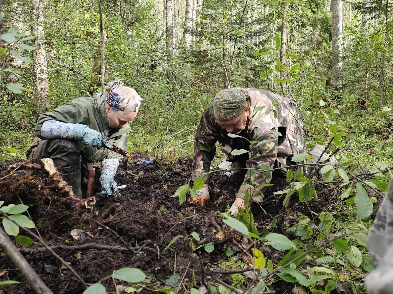 alt поисковики капают землю