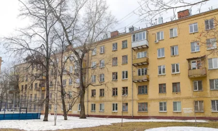 новгородка устроила дебош в жилом доме