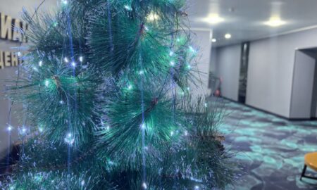 Елка новогодняя