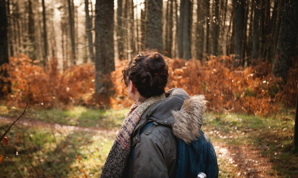 Поход в лес