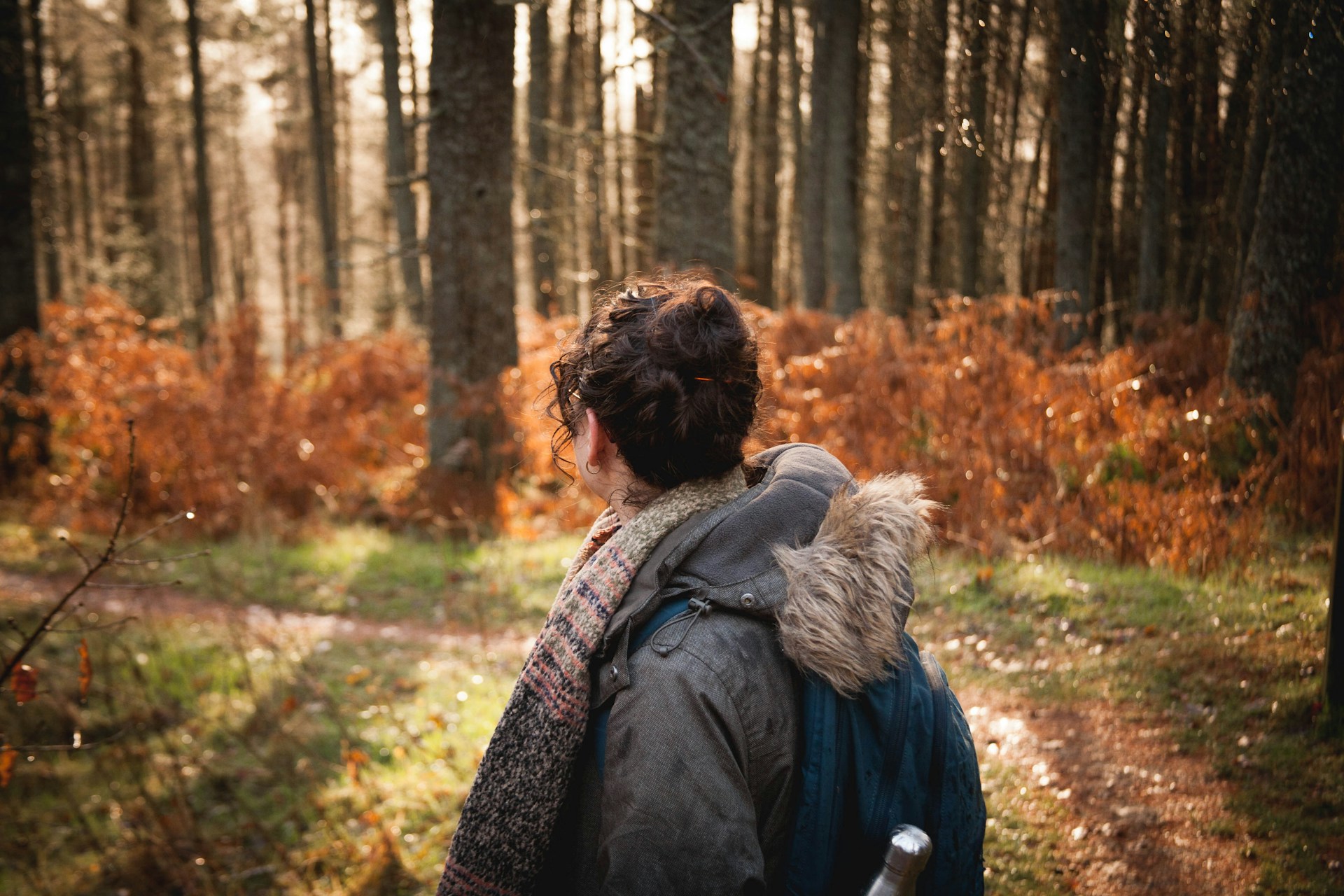 Поход в лес