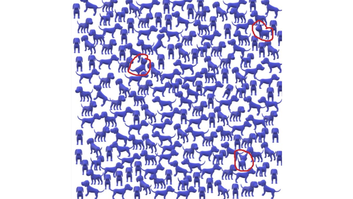 ответ задачки