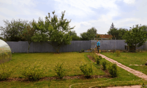 Дачный участок с забором