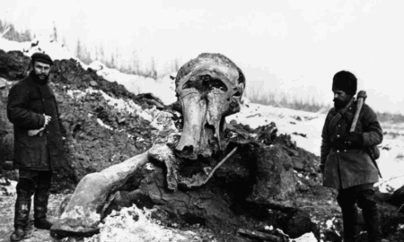 Мужчины рядом с останками