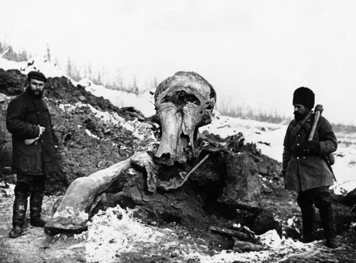 Мужчины рядом с останками