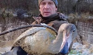 Лебедь на руках у спасателя