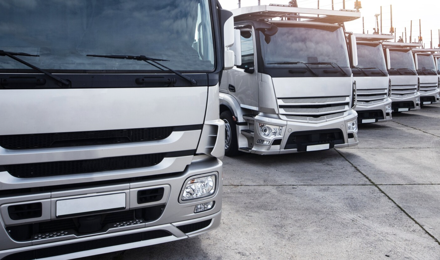 Крупные грузовые автомобили стоят перед выездом на дорогу