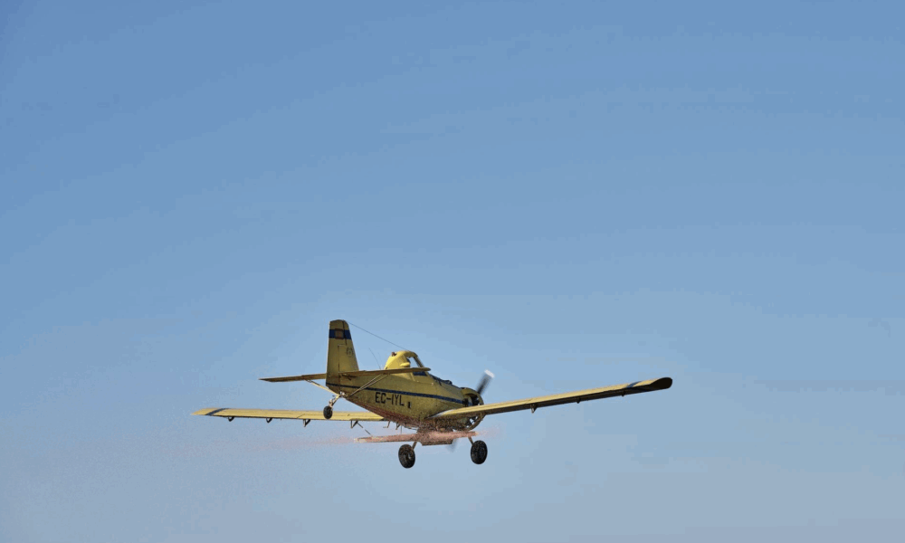 самолет летит по небу