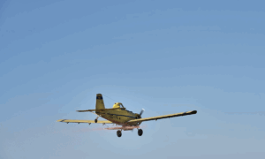 самолет летит по небу