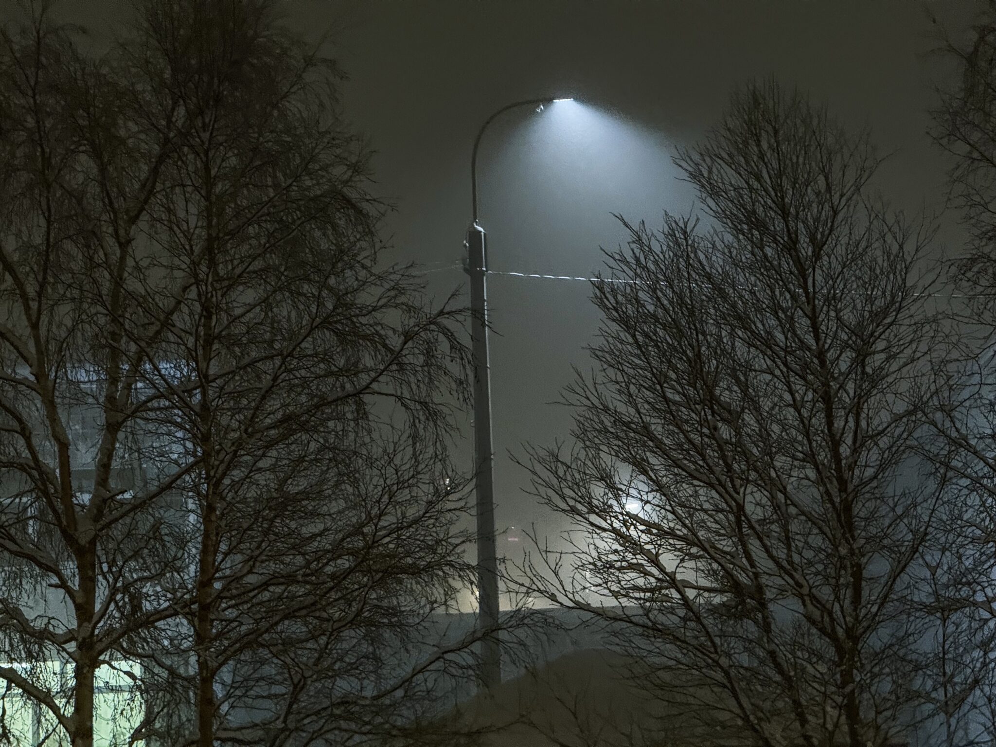 alt деревья без листьев