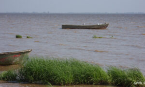 alt бакланы на лодке