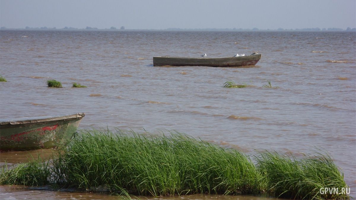 alt бакланы на лодке