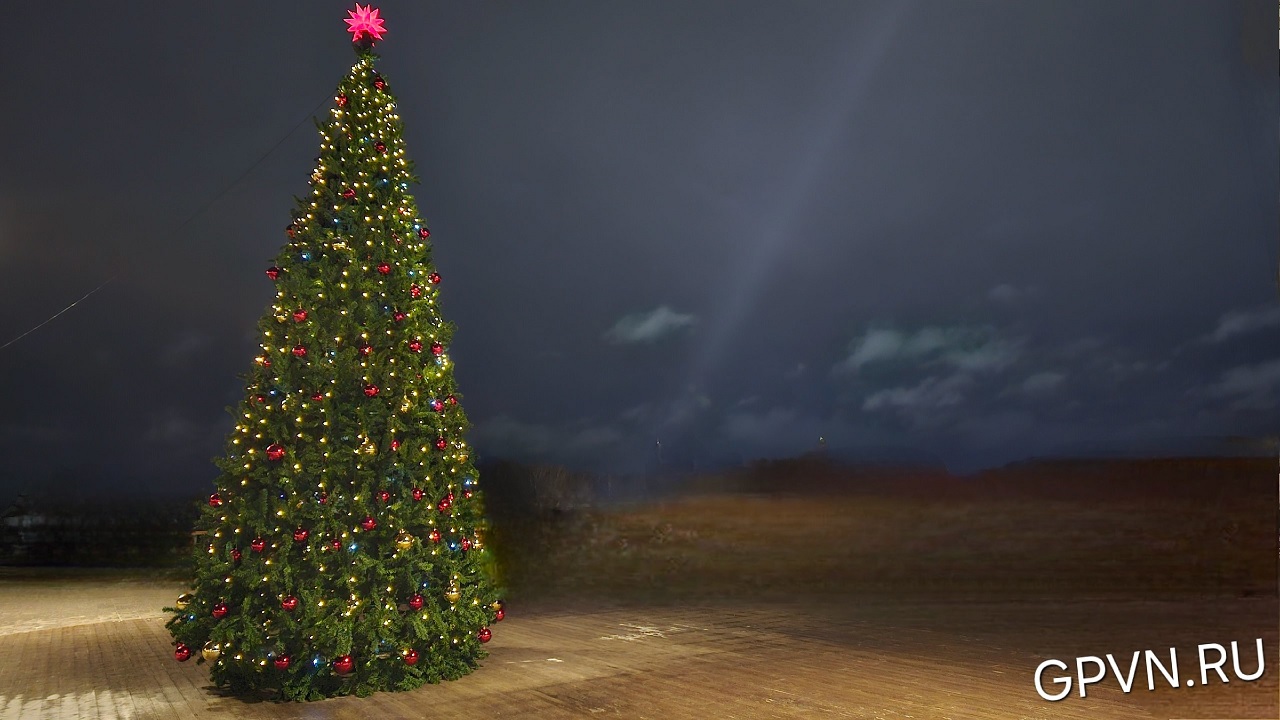 alt елка на фоне темного неба