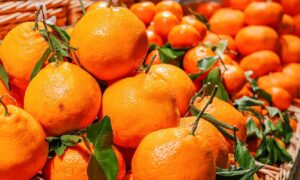 новгородская ярмарка