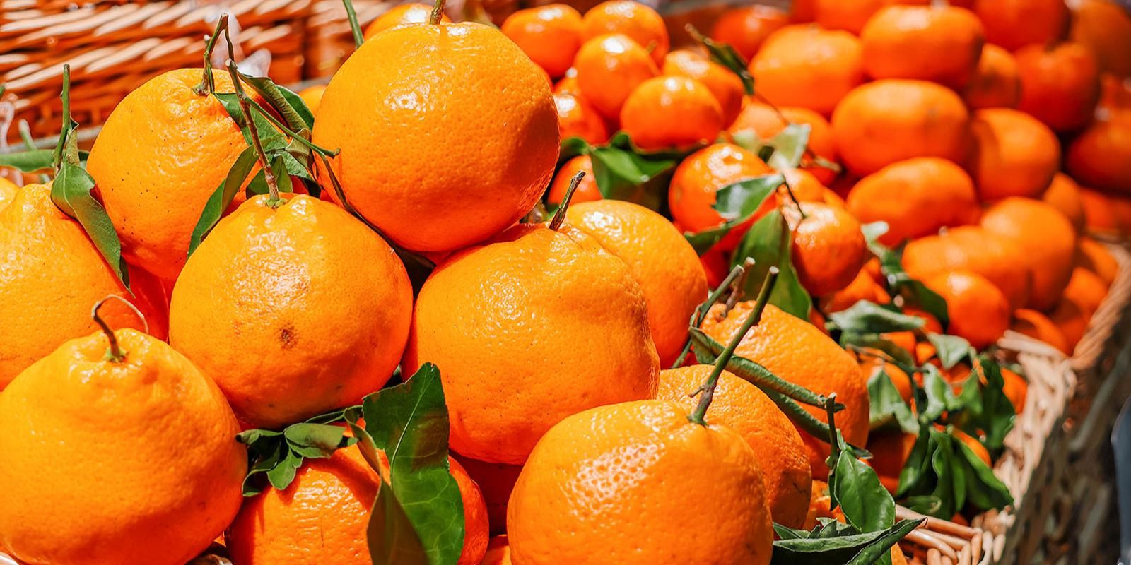 новгородская ярмарка