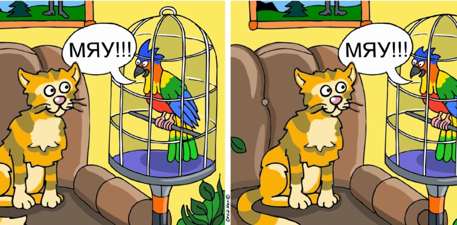 отличия, картинка, головоломка