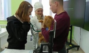 alt кот на уроке