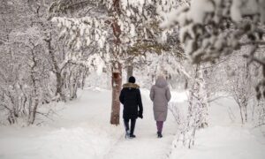 alt люди гуляют в парке