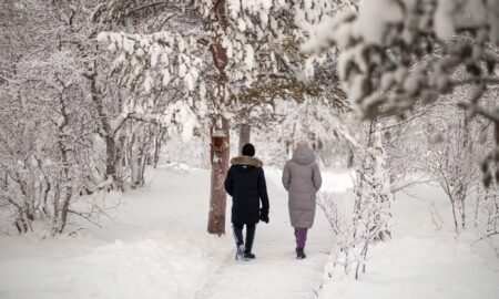 alt люди гуляют в парке