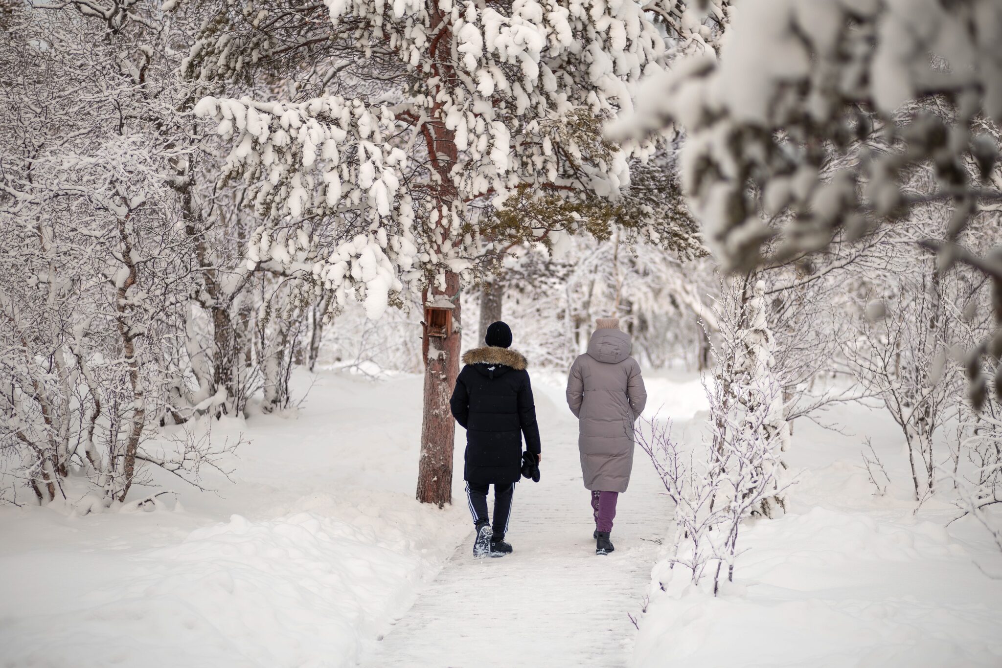alt люди гуляют в парке