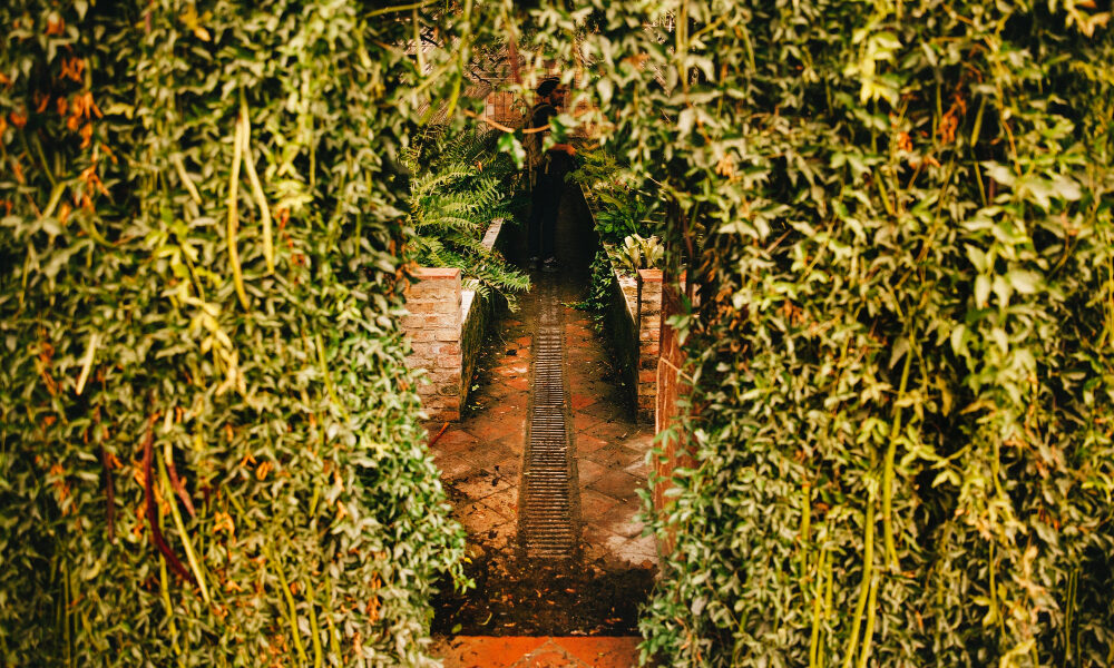 висячие сады