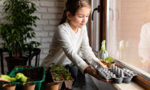 Ребёнок ухаживает за рассадой