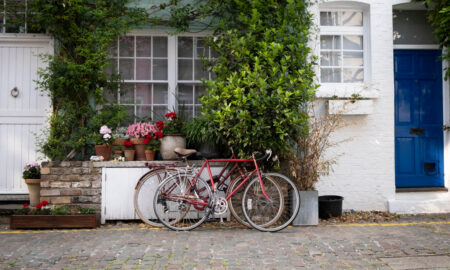 Фасад дома с растениями и цветами