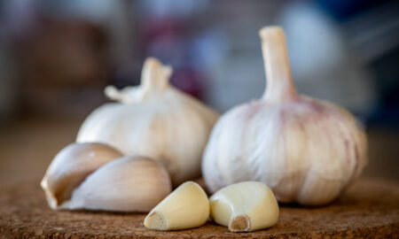 Чеснок