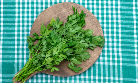 кинза, кориандр