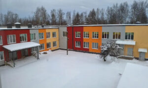 alt школа в Боровичах