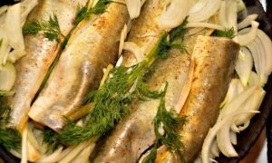 Навага Беломорская