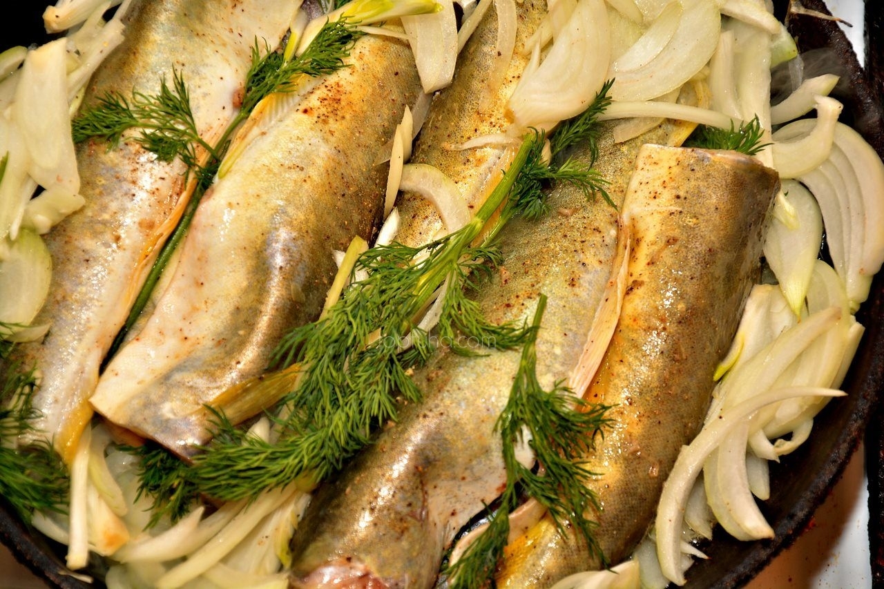 Навага Беломорская