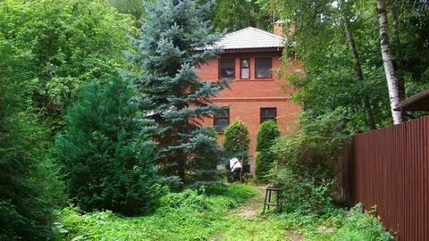 Жизнь за городом