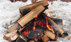 костер зимой