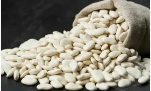 белая фасоль