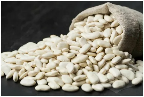 белая фасоль